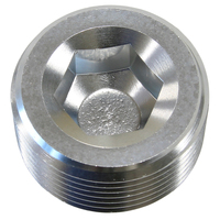 AF932-01S - NPT PLUG 1/16"